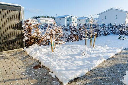 Beautiful view of winter landscape of private area. Trees and bushes covered with snow. Beautiful white villas on background.の写真素材