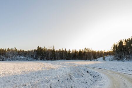 Beautiful view of winter scape. Country road in snow forest. Beautiful nature winter background.の写真素材