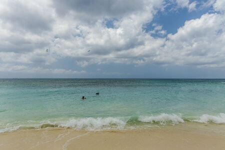 Amazing beauty Caribbean sea beach. Eagle beach Aruba island. Beautiful nature background.の写真素材