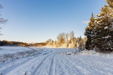 Beautiful view of winter scape. Country road in snow forest. Beautiful nature winter background.の写真素材