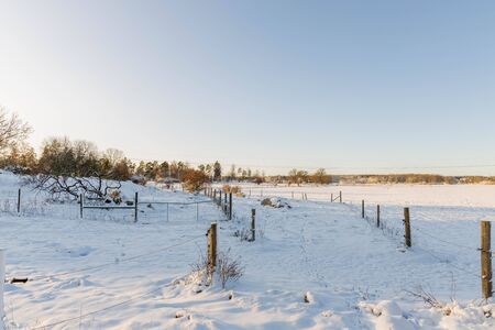 Gorgeous view of winter nature landscape. Snowy trees in winter. Winter day. Beautiful winter background.の写真素材