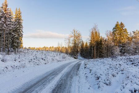 Gorgeous view of winter nature landscape. Country road in snow forest. Beautiful winter background.の写真素材