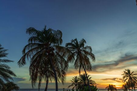Gorgeous colorful view of sunset on Curacao island. Gorgeous view of green palm trees on blue sky background. Beautiful nature landscape. Caribbean.の写真素材