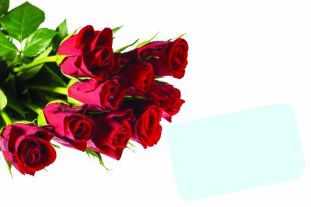 Gorgeous red roses close up view isolated. Beautiful backgrounds. Red Roses backgrounds. Valentine day backgrounds. Postcard.の写真素材