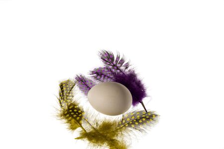 Easter background. Combination of colorful feathers and one white egg isolated on white background.の写真素材