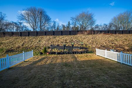 Gorgeous spring view of exterior of a private small garden in plastic pots and pallet collars. Landscape design. Beautiful spring nature backgrounds. Gardening concept.の写真素材