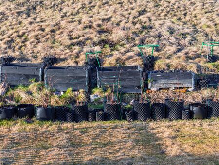 Small garden in plastic pots and pallet collars. Beautiful spring nature backgrounds. Gardening concept.の写真素材