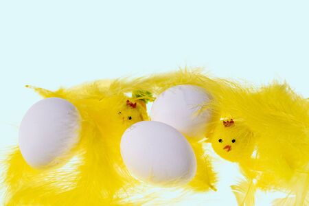 Close up view of white eggs and yellow feathers and chick figures isolated on blue background. Easter conceptの写真素材