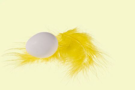Close up view of white egg and yellow feathers isolated on yellow background. Easter concept.の写真素材