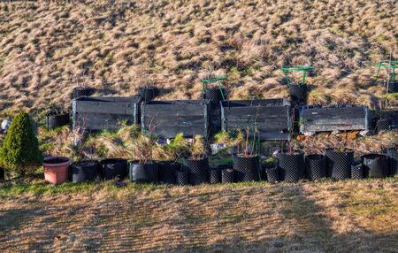 Small garden in plastic pots and pallet collars. Beautiful spring nature backgrounds. Gardening concept.の写真素材