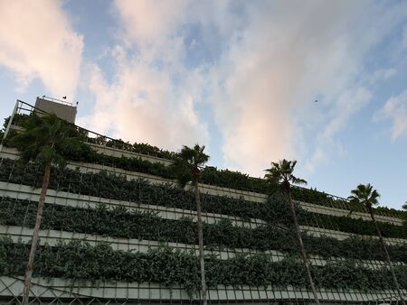 Exterior view of green car parking top floors on white clouds background. Miamiの写真素材