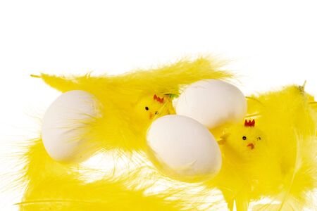 Close up view of white eggs and yellow feathers and chick figures isolated on white background. Easter concept.の写真素材