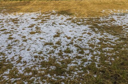 View of spring grass. Beautiful nature background / texture. Spring concept.の写真素材