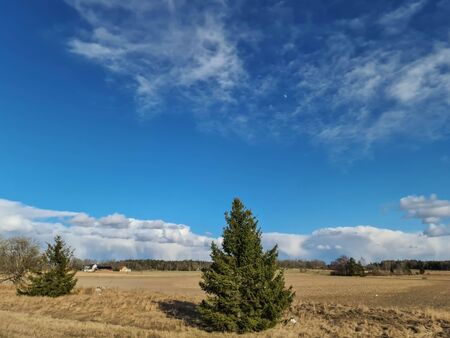 Beautiful landscape view with fields, forest trees and blue sky with white clouds. Gorgeous spring backgrounds.の写真素材