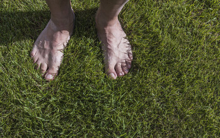 Close up view of barefoot male feet on green grass lawn on sunny day.