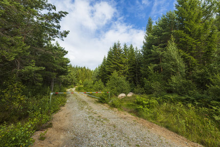 A beautiful nature landscape view of a gravel road in a forest overlapped by boom barrier on a blue...