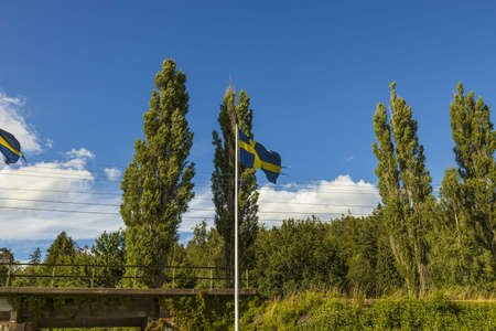 Swedish flags waving in the wind green forest trees and blue sky with white clouds background.の写真素材