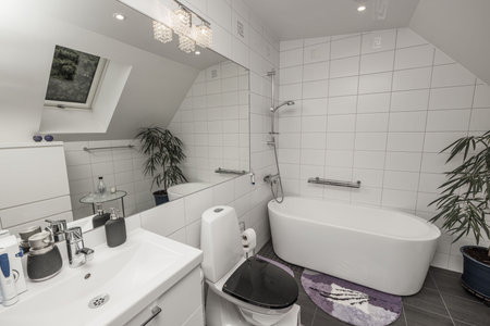 Beautiful view of the bathroom interior in the house. Roof window with large mirror, sink, toilet...