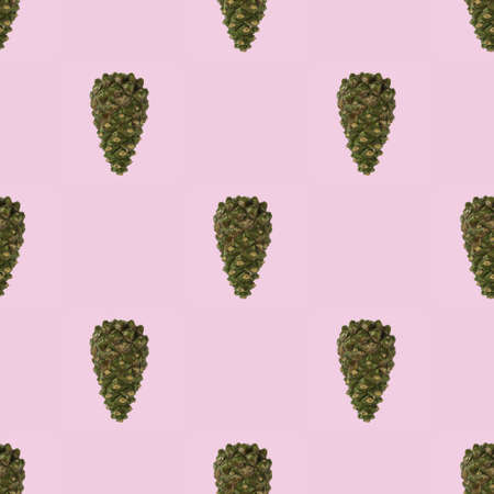 View of pattern pine tree cone isolated on light pink background. Postcard. Beautiful christmas backgrounds.の写真素材