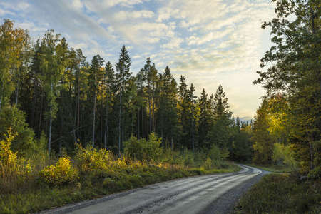 Gorgeous natural landscape view. Country road between yellowing trees on blue sky with white clouds background.の写真素材