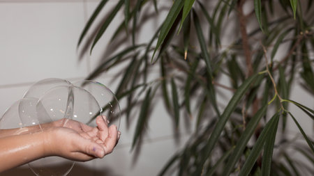 Close up view of child hands playing with bubbles. Green plant and white wall on background.