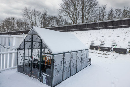 Winter view of exterior of a private small gardenの写真素材