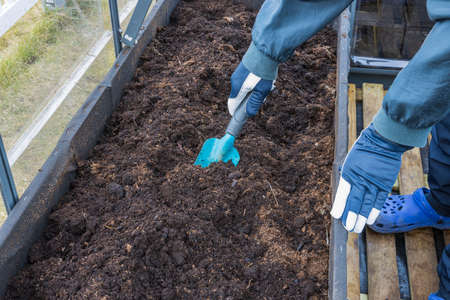 View of man prepares garden beds in greenhouse in early spring. Home gardening concept.の写真素材