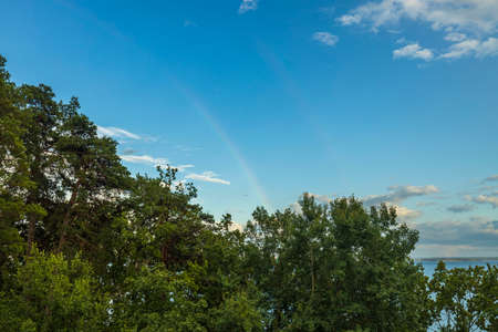 Beautiful view of tops of green trees on blue sky with a rainbow after rain on background. Sweden.の写真素材