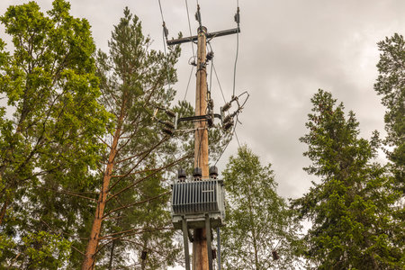 High voltage transmission line .. Gorgeous backgrounds. Sweden. Europe