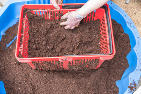 Close up view of process of sifting of earth for lawn restoration work. Sweden.
