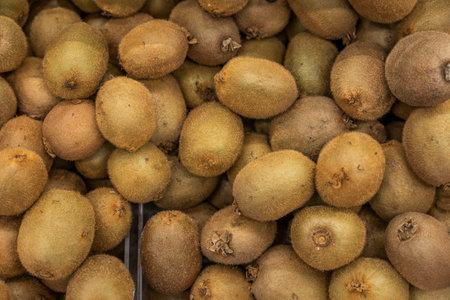 Close up view of kiwi fruits on a shelf of supermarket. Sweden.の写真素材