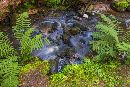 Beautiful nature landscape view with water streaming over rocks. Sweden.