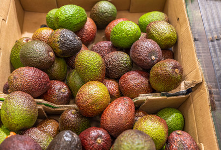 Close up view of avocado on a shelf of supermarket. Sweden.