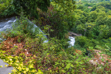 Beautiful nature landscape view of waterfall streaming between green trees and plants.