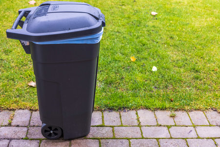 Close up view of garbage container on backyard on green field background. Sweden.