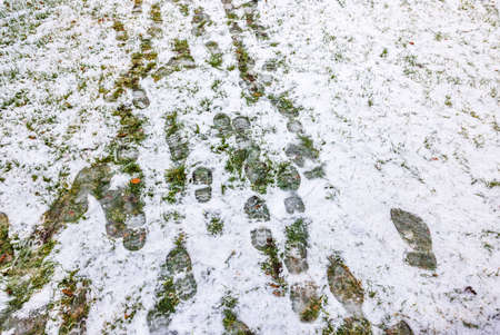 Beautiful view of footprints on winter green grass under snow. Sweden.の写真素材