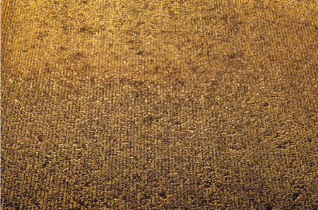 Beautiful view of abstract structure of golden background.の写真素材