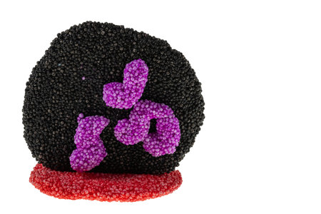 Close up view of beautiful colorful funny toy handmade of play dough of young kid.の写真素材