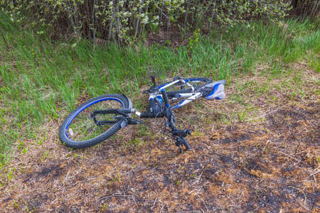Close up view of bicycle lying in forest on clearing with scorched grass. Sweden.の写真素材