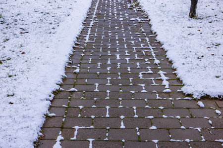 View of paving slab path in garden at beginning of winter leading to house. Sweden.の写真素材