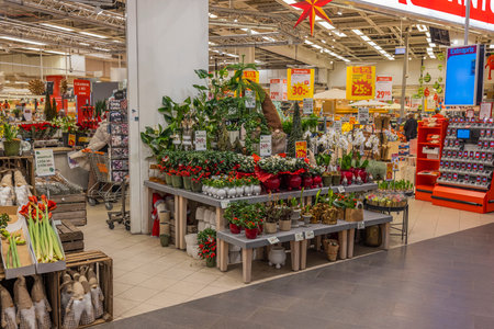Beautiful view of interior of supermarket with department for sale of indoor flowers. Sweden. uppsala. 12.14.2022.のeditorial素材