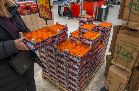 Close up view of woman buying box of tangerines in supermarket. Sweden. uppsala. 12.14.2022.のeditorial素材