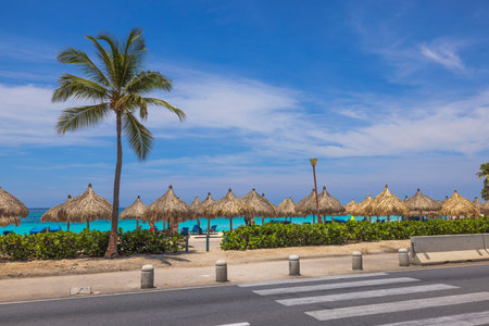 Beautiful view of beach area behind green bushes and highway. Sun umbrellas and turquoise water of Atlantic Ocean on blue sky with white clouds background. Aruba.の写真素材