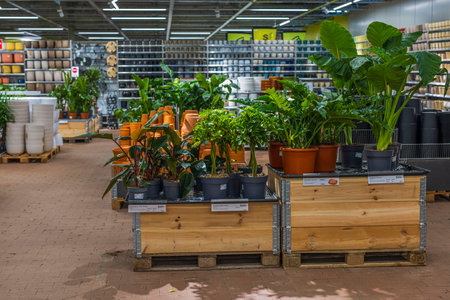 Beautiful colorful interior view of Plantagen boutique. Uppsala, Sweden. 02.14.2023.のeditorial素材