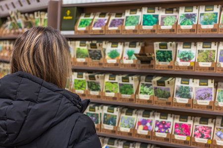View of woman choosing seeds for sowing. gardening concept. Sweden.の写真素材