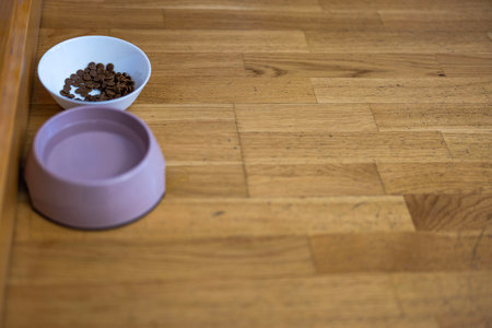 Close-up view of cup of water and cup of dry dog ââfood on wooden floor.の写真素材