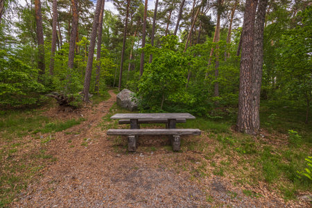 Beautiful view of table with bench on hiking trail in forest for rest. Sweden.の写真素材