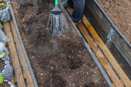 View of preparation of beds by watering from watering can deepening hole in beds for planting seedlings. Sweden.の写真素材