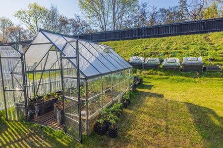 Beautiful view of private garden with planted tomato seedlings in greenhouse. Sweden.の写真素材