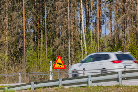 Close-up of wildlife warning sign on side of highway with speeding car out of focus. Sweden.の写真素材